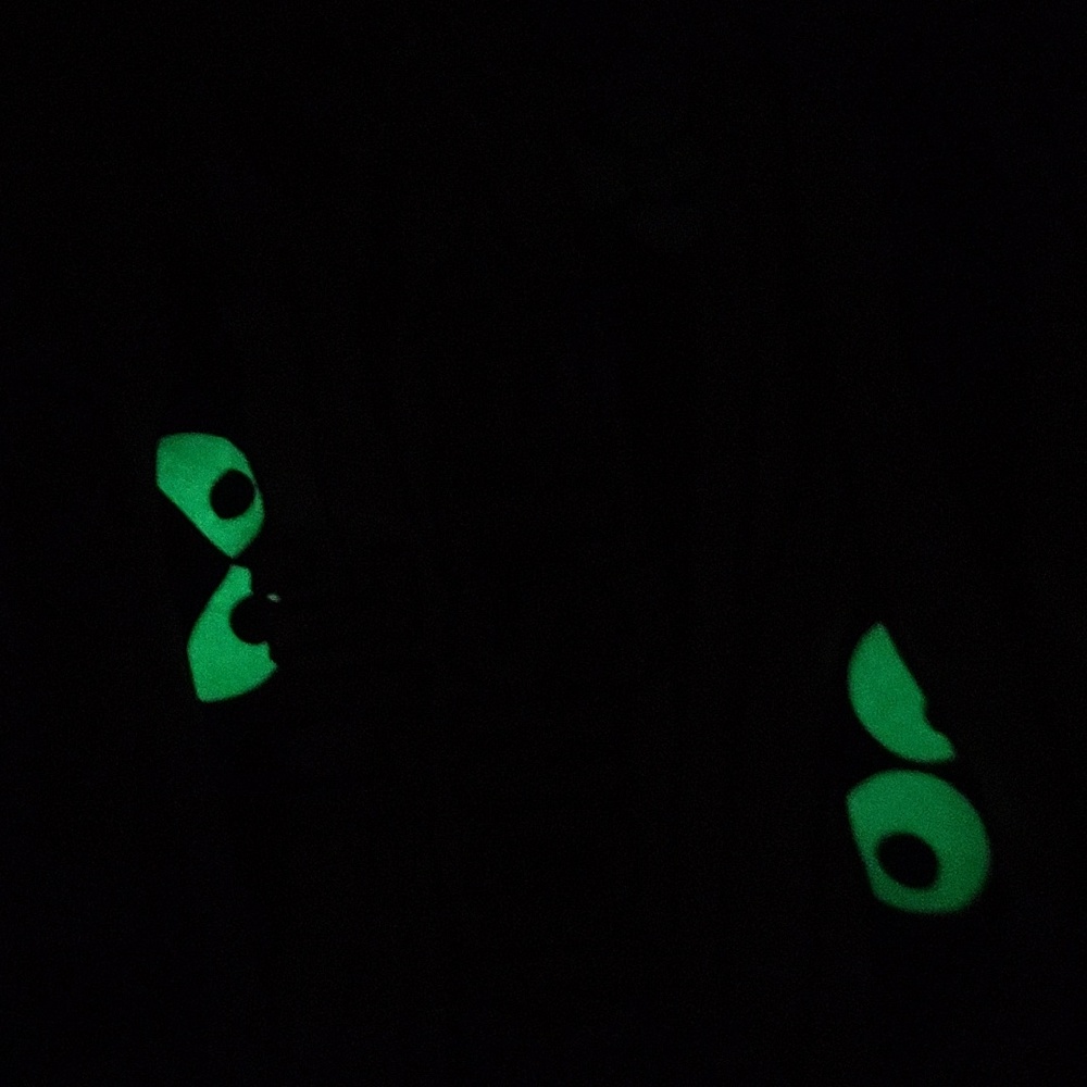 NWT: Halloween Lil' Monster Glow in the Dark Pajamas - Picture 4 of 14